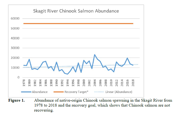 Skagit River chinook abundance